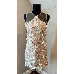 Dress the Population Lena Pink Floral Lace Embellished Illusion Dress, Small